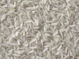 Rice from Vietnam, export quality